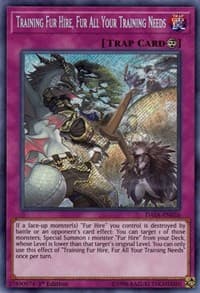 Training Fur Hire, Fur All Your Training Needs - Dark Saviors - YuGiOh card