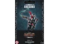 Warhammer: 40K - Drukhari Succubus - Warhammer Plastic Clampacks - Warhammer Clampacks card