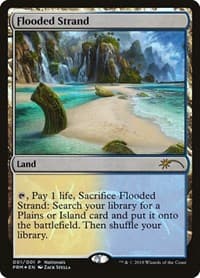 Flooded Strand - Unique and Miscellaneous Promos - Magic: The Gathering card