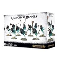 Warhammer: Age of Sigmar - Nighthaunt Grimghast Reapers - Warhammer Plastic Box Sets - Warhammer Box Sets card