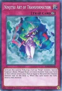 Ninjitsu Art of Transformation - Shadows in Valhalla - YuGiOh card