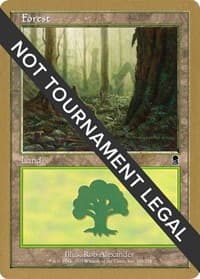 Forest (348) - 2002 Raphael Levy (ODY) - World Championship Decks - Magic: The Gathering card