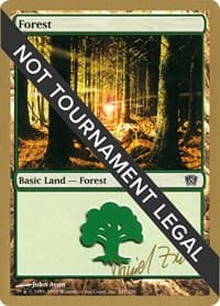 Forest (347) - 2003 Daniel Zink (8ED) - World Championship Decks - Magic: The Gathering card