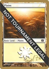Plains (333) - 2003 Daniel Zink (8ED) - World Championship Decks - Magic: The Gathering card