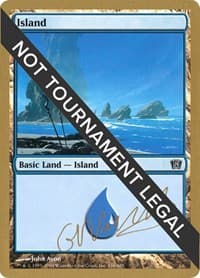 Island (336) - 2004 Gabriel Nassif (8ED) - World Championship Decks - Magic: The Gathering card