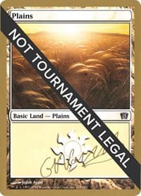 Plains (333) - 2004 Gabriel Nassif (8ED) - World Championship Decks - Magic: The Gathering card