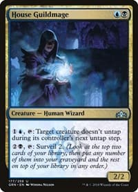 House Guildmage - Guilds of Ravnica - Magic: The Gathering card