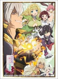 Bushiroad Sleeve Collection HG Vol.1680: How NOT to Summon a Demon Lord (60-Pack) - Bushiroad Card Sleeves - Card Sleeves card
