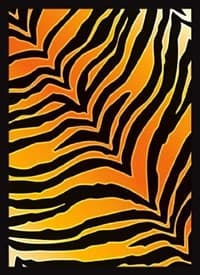 Gloss Sleeve - Tiger Stripes (50-Pack) - Legion Premium Supplies Card Sleeves - Card Sleeves card