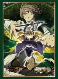 Bushiroad Sleeve Collection HG Vol.1553: Fate/Apocrypha (60-Pack) - Bushiroad Card Sleeves - Card Sleeves card