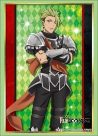 Bushiroad Sleeve Collection HG Vol.1558: Fate/Apocrypha - Rider of Red (60-Pack) - Bushiroad Card Sleeves - Card Sleeves card