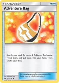 Adventure Bag - SM - Lost Thunder - Pokemon card