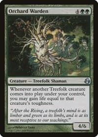 Orchard Warden - Morningtide - Magic: The Gathering card