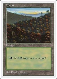 Forest (448) - Fifth Edition - Magic: The Gathering card