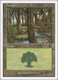 Forest (348) - Classic Sixth Edition - Magic: The Gathering card