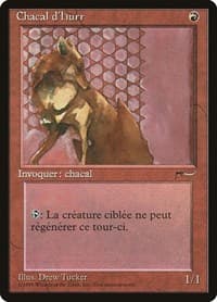 Hurr Jackal (French) - "Chacal d'Hurr" - Renaissance - Magic: The Gathering card