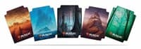 Card Dividers Standard - Magic: The Gathering Unstable Lands (15-Pack) - Ultra Pro Card Dividers - Collectible Storage card