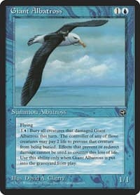 Giant Albatross [Version 2] - Homelands - Magic: The Gathering card