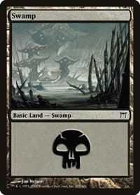 Swamp (295) - Champions of Kamigawa - Magic: The Gathering card