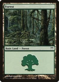 Forest (305) - Champions of Kamigawa - Magic: The Gathering card