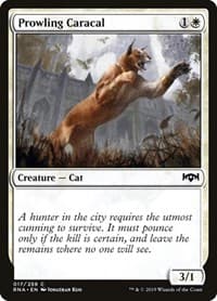 Prowling Caracal - Ravnica Allegiance - Magic: The Gathering card