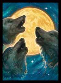 Double Matte Sleeve - 3 Wolf Moon (50-Pack) - Legion Premium Supplies Card Sleeves - Card Sleeves card