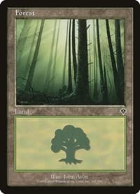 Forest (347) - Invasion - Magic: The Gathering card