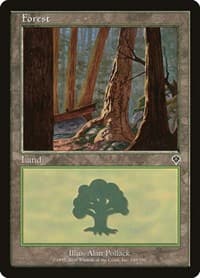 Forest (348) - Invasion - Magic: The Gathering card
