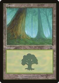Forest (347) - Mercadian Masques - Magic: The Gathering card