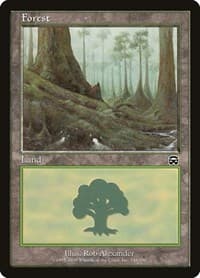 Forest (348) - Mercadian Masques - Magic: The Gathering card