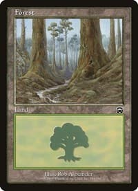 Forest (349) - Mercadian Masques - Magic: The Gathering card
