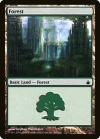 Forest (303) - Ravnica: City of Guilds - Magic: The Gathering card