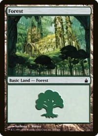 Forest (305) - Ravnica: City of Guilds - Magic: The Gathering card