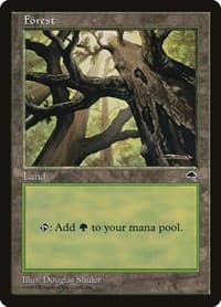 Forest (Skyward) - Tempest - Magic: The Gathering card