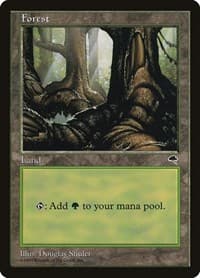 Forest (Pond) - Tempest - Magic: The Gathering card