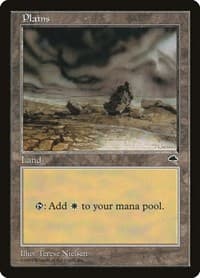 Plains (Rocks) - Tempest - Magic: The Gathering card