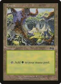 Forest (348) - Urza's Saga - Magic: The Gathering card