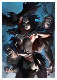 Raven Necromancer - Heroes and Villains - Matte Card Sleeves (60-Pack) (FN2) - Fantasy North Card Sleeves - Card Sleeves card