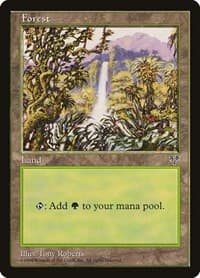 Forest (Waterfall) - Mirage - Magic: The Gathering card