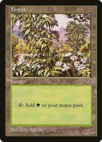 Forest (White Flowers Right) - Mirage - Magic: The Gathering card