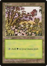 Forest (Red Tree Leaves) - Mirage - Magic: The Gathering card