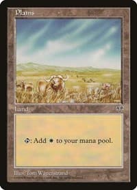 Plains (Buffalo) - Mirage - Magic: The Gathering card