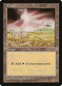 Plains (Zebra) - Mirage - Magic: The Gathering card