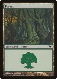 Forest (301) - Shadowmoor - Magic: The Gathering card