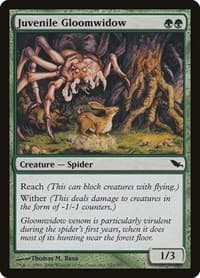 Juvenile Gloomwidow - Shadowmoor - Magic: The Gathering card