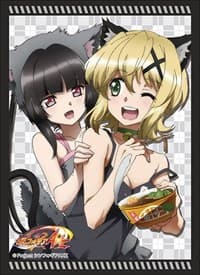 Bushiroad Sleeve Collection HG Vol.1895: Senki Zessho Symphogear AXZ - Shirabe & Kirika (60-Pack) - Bushiroad Card Sleeves - Card Sleeves card