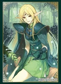 Bushiroad Sleeve Collection HG Vol.1928: Kadokawa Sneaker Bunko - Record of Lodoss War - Deedlit (60-Pack) - Bushiroad Card Sleeves - Card Sleeves card
