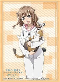 Bushiroad Sleeve Collection HG Vol.1933: Bunny Girl Senpai - Kaede Azusagawa (60-Pack) - Bushiroad Card Sleeves - Card Sleeves card