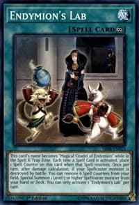 Endymion's Lab - Structure Deck: Order of the Spellcasters - YuGiOh card