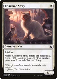 Charmed Stray - War of the Spark - Magic: The Gathering card
